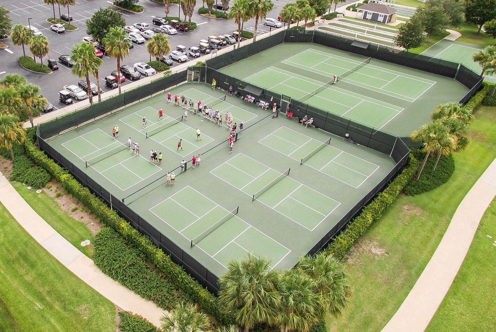 Aerial view of a fenced block of green pickleball courts among palm trees, with players on several courts