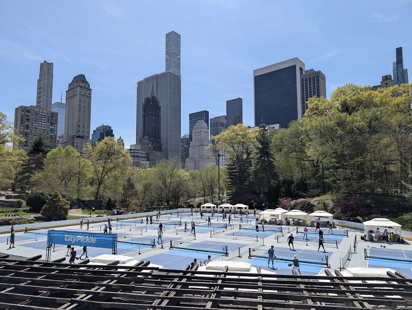 Dozens of pickleball courts laid out on an ice rink in a city park, with towers behind